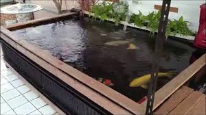 We would like to show you a description here but the site won't allow us. Kolam Koi Minimalis Murah Dari Terpal Dan Besi Holo Youtube