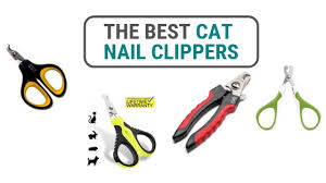 Ingrown claw synonyms, ingrown claw pronunciation, ingrown claw translation, english dictionary definition of ingrown claw. Best Cat Nail Clippers Persian Cat Corner