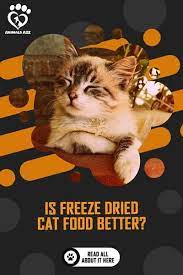 Is Freeze Dried Cat Food Better Detailed Answer Dry Cat Food Best Cat Food Cat Food