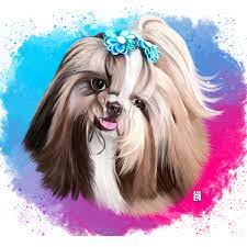 Desenho De Um Shih Tzu Sob Encomenda Para Encomendar Entre No Instagram Artepetz Instagram Fotos Foto E Video