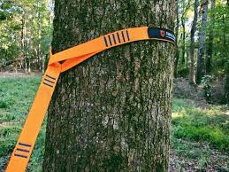 It is ideal for backpackers, hikers and outdoor. 5 Best Hammock Tree Straps In 2021 99boulders
