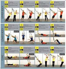 suspension training trx facts and posters trx training