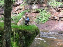 The otter creek wilderness is a u.s. Otter Creek Wilderness Alchetron The Free Social Encyclopedia