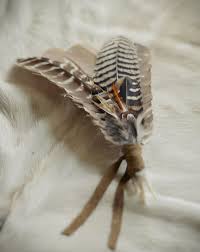 Pin On Passing Time Nature Crafts