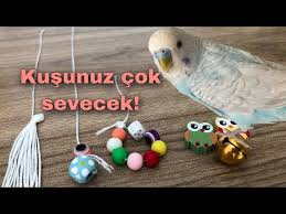 Pasteli Oyuncaga Nasil Alistirdim Muhabbet Kusu Oyuncak Alistirma Youtube