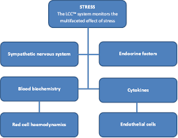 technology oxford medistress