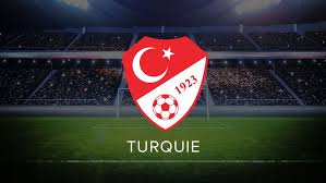 Des bleus défavorisés par l'arbitre ? Equipe De Turquie De Football L Express