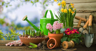 Fruit trees are grown for their attractive blossoms in spring, for their healthful fruit in the fall, or to have fruit bearing trees as part of a garden landscape. Independent Garden Centers Of Maine