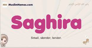 Saghira Meaning Of The Muslim Baby Name Saghira Click on the alphabet below for muslim baby boy names. meaning of the muslim baby name saghira