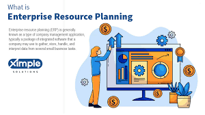 What is Enterprise Resource Planning | Why Most Businesses Use an ERP