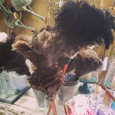 Birds Of The Same Feather Make A Good Feather Duster Just Arrived First Grade Ostrich Feather Dusters Available In 3 Lengths Beautiful To Look At And To Use Perennialle Perennialleplants Canowindra