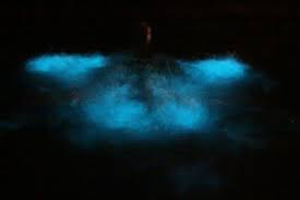 Bioluminescent Beach Puerto Rico I Wish I Had Had My Camera When I Was Making Bioluminescent Water Angels In Bioluminescent Bioluminescent Bay Caribbean Travel Bioluminescent Bay Puerto Rico