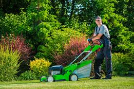 Spring clean up including power raking, aerations & more available now. Lawn Care Services Winnipeg Lawn Man Inc