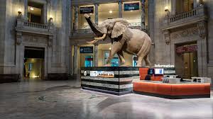 The bidding began at $50,000 on october 25, 2001, and went until 2:00 am the next morning. 32 Things To See On D C S National Mall The Smithsonian Free Museums And More Washington Post