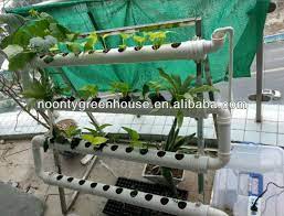Nft Hydroponics System Indoor Hydroponics System Nft Hydroponics Hydroponic Farming