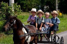 Amish - Home | Facebook