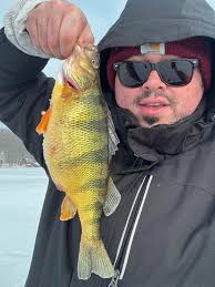 Another successful day at the fishing shack with walleye