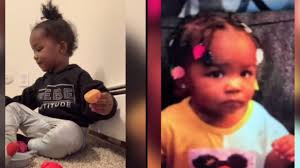 Search grows for missing 2-year-old girl from Lansing