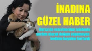 Olmek Uzere Olan Kediye Dogum Yaptirdi Rota Bursa
