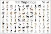 All Dog Breeds - Complete List of Dog Profiles