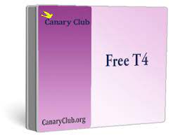Zrt Free T4 Blood Spot Test - Wwwcanarycluborg