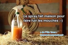Epingle Sur Astuces Pour Les Poules