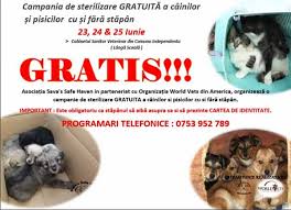 Campanie De Sterilizare Gratuită A Cainilor Si Pisicilor In Judeţul Galaţi