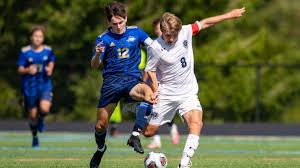 Who's lighting it up? Season-long boys soccer stat leaders through Oct. 26 