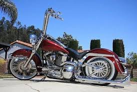 Neil Beal (beal0691)