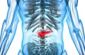 If you have pancreatic cancer, you won't be able to feel a lump or mass when you press on the outside of your abdomen. Can You Live Without A Pancreas What You Need To Know