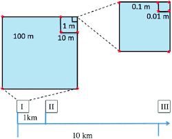 Each hectar is 10,000 square meters, or 1/100 square kilometers. Fig S1 Sampling Scheme Three One Hectare Plots Denoted I Ii And Download Scientific Diagram