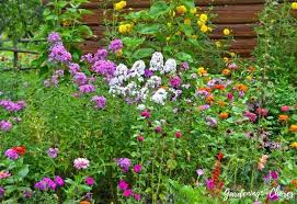 We did not find results for: 16 Spring Blooming Annuals That Add Early Color To Your Garden