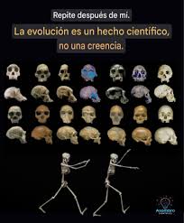 La biología es parte de la explicación, pero hay otros factores. https://bbc.in/3Rts56s