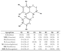 Molecules Free Full Text Oxoisoaporphines And Aporphines Versatile Molecules With Anticancer Effects Html