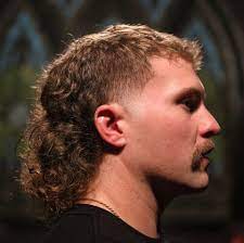 Wikispecies from old french mulet (now 'grey mullet'), from latin mullus (red mullet), from ancient greek μύλλος (múllos). Mullets Are Making A Comeback How To Grow A Modern Mullet 2021