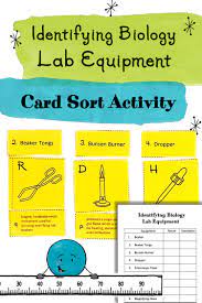 Card Sort Activity Identifying Biology Lab Equipment Biology Labs Biology Free Science Worksheets