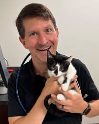 Daisy is in for her kitten appointment. The other two cats in the house  have taken her right in and are showing her how to meow for food and elicit  sympathy. Everyone (