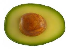 Resultado de imagen para imagenes de un nopal un aguacate un tomate.