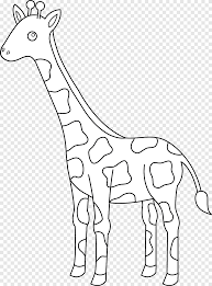 Giraffe set path on the. Giraffe Drawing Black And White Animal Head Outline Giraff White Mammal Png Pngegg