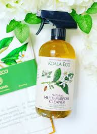 Branch Basics Review | PrettyOrganicGirl