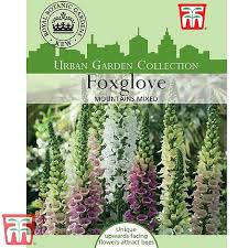 Heather darby, uvm extension agronomist susan monahan, erica. Foxglove Mountains Mixed Seeds Thompson Morgan