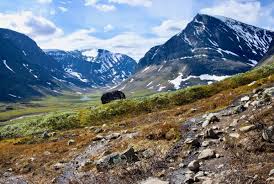 Compare hotel prices · fast and simple · save time and money More People Are Visiting Northern Sweden Too Many Are Leaving Something Other Than Footprints Behind Arctictoday