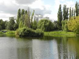 Mittelfeldbecken Berlin Markisches Viertel Stadtteilpark Am Mittelfeldbecken Packereigraben Gewasser