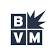 Best Version Media logo