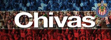 Отметок «нравится», 139 комментариев — chivas (@chivas) в instagram: A Que Hora Juega Chivas Hoy En Vivo Y En Que Canal A Que Hora Juega En Vivo Chivas Juego En Vivo Liguilla Mx