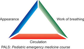 Image result for Pediatric Assessment Triangle