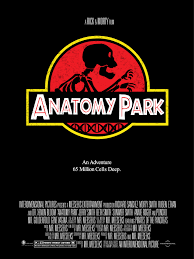 → mister mister o mr se refieren a un hombre adulto, independientemente de su estado civil. Rick And Morty Quotes Of Course Mr Meeseeks Would Be The Majority Of