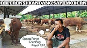 Check spelling or type a new query. Kandang Sapi Modern Referensi Desain Kandang Sapi Buat Sedulur Om Jhon Ngaritan Youtube
