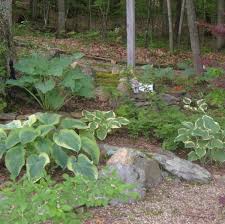 Which garden style is right for you? How We Designed Our Rock Garden Landscaping Our Yard With Rocks And Boulders Dengarden