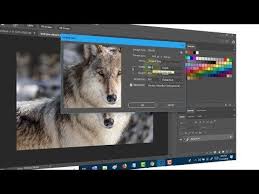 How To Resize An Image In Photoshop Without Losing Quality How To Resize An Image In Photoshop Without Losing Quality Tech Pro Advice Youtube Photoshop Image Photoshop Tips